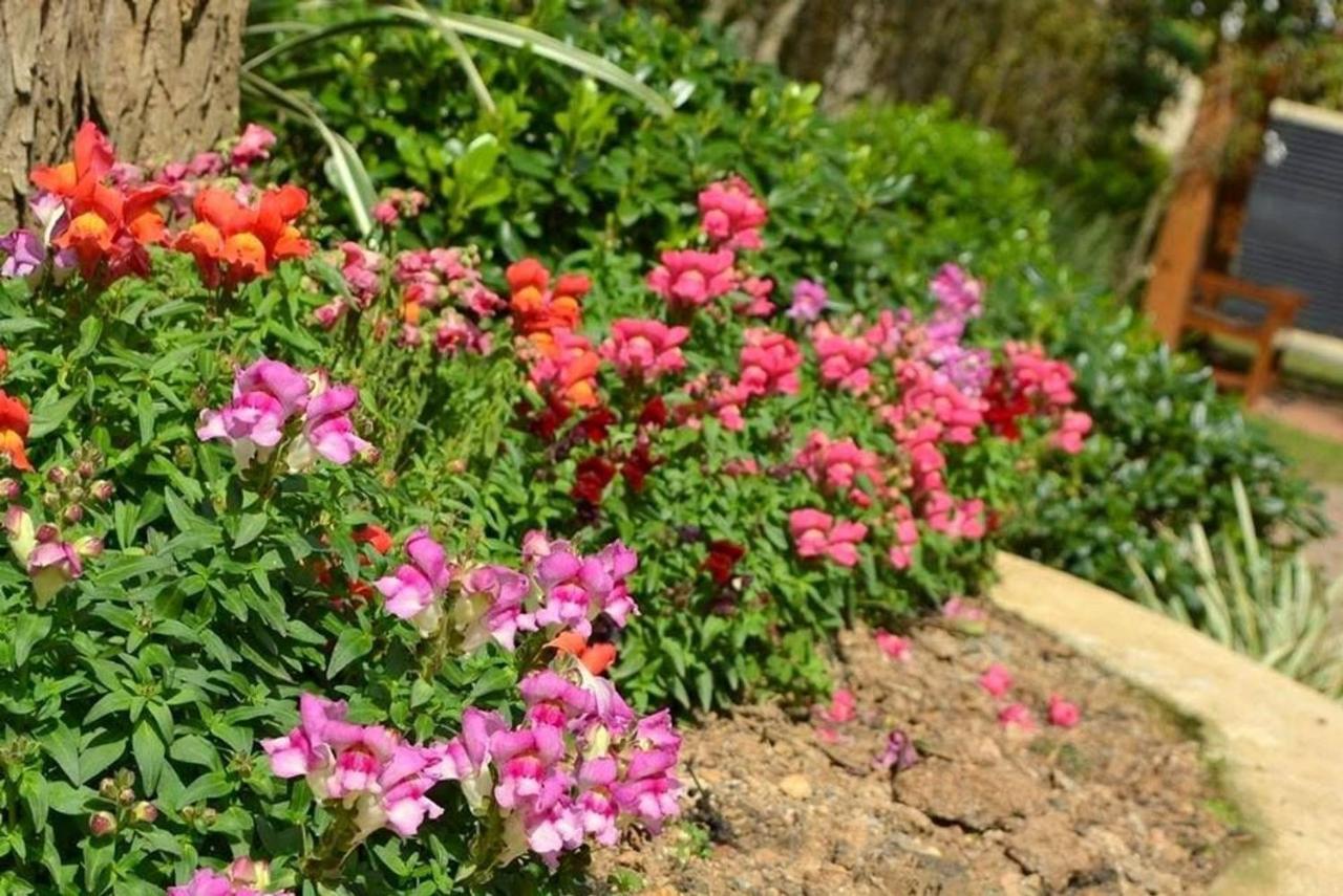 Locar-In Gramado Flores Da Montanha Centro Dış mekan fotoğraf